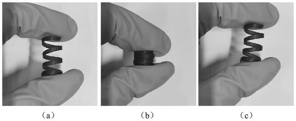 Wood spring and preparation method thereof