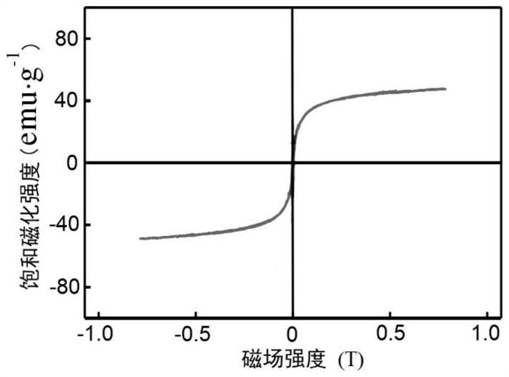 Method for coating magnetic bead fishing traditional Chinese medicine active ingredients with cell membranes based on electroporation and application of method