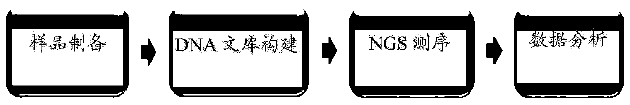 Nanovesicles derived from genus bacillus bacteria and use thereof