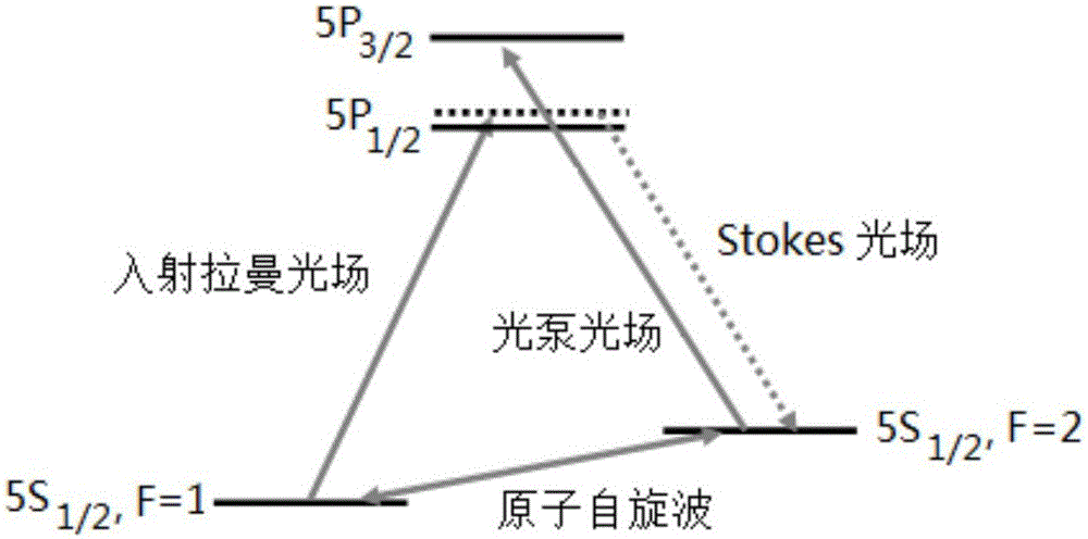 Sagnac angular velocity measurement system and method