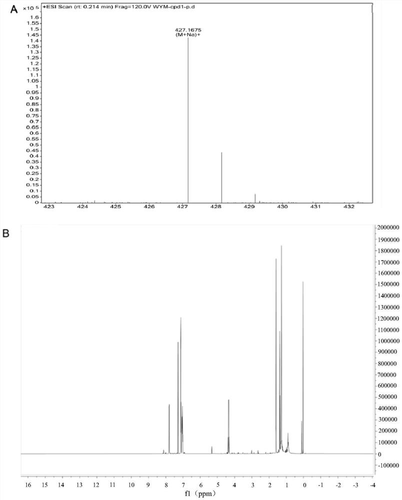 Screening probe of medicine for inducing tumor cell epithelial-mesenchymal transition as well as preparation method and application of screening probe