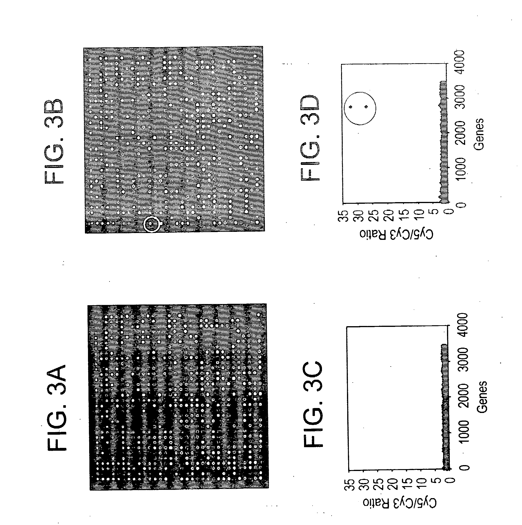 Reagent systems for biological assays