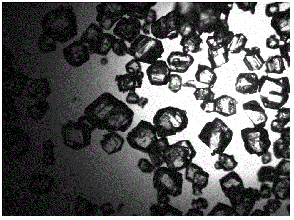 Citric acid crystal and production method thereof