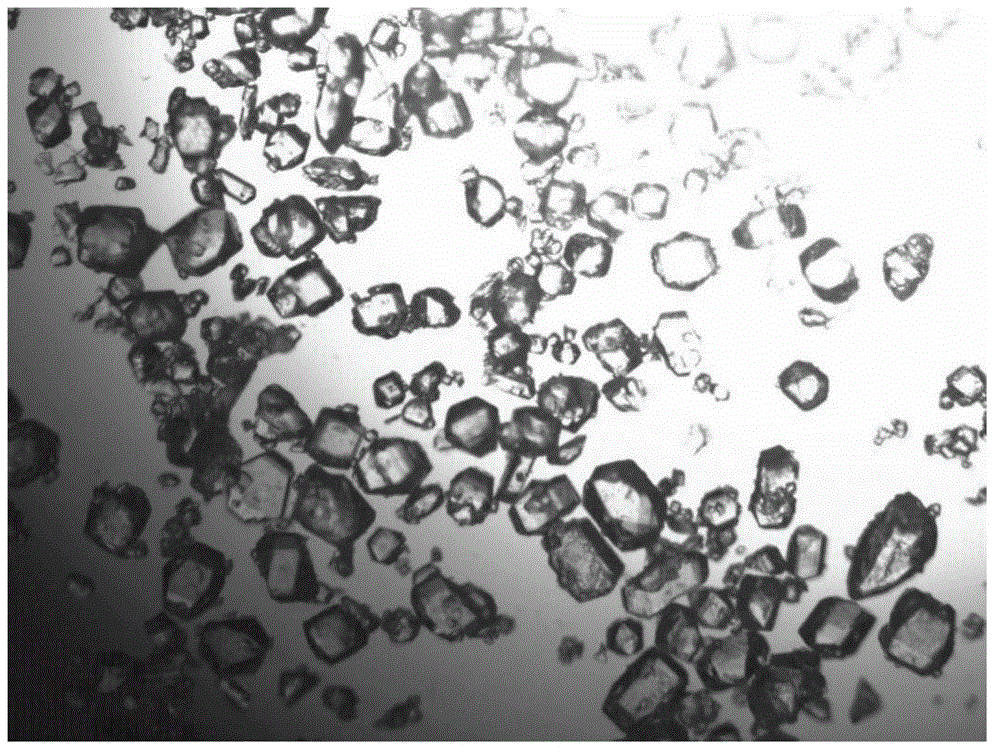 Citric acid crystal and production method thereof