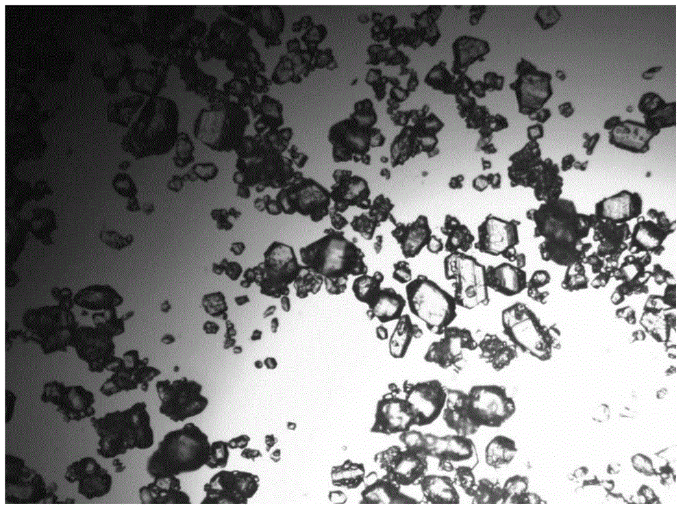 Citric acid crystal and production method thereof