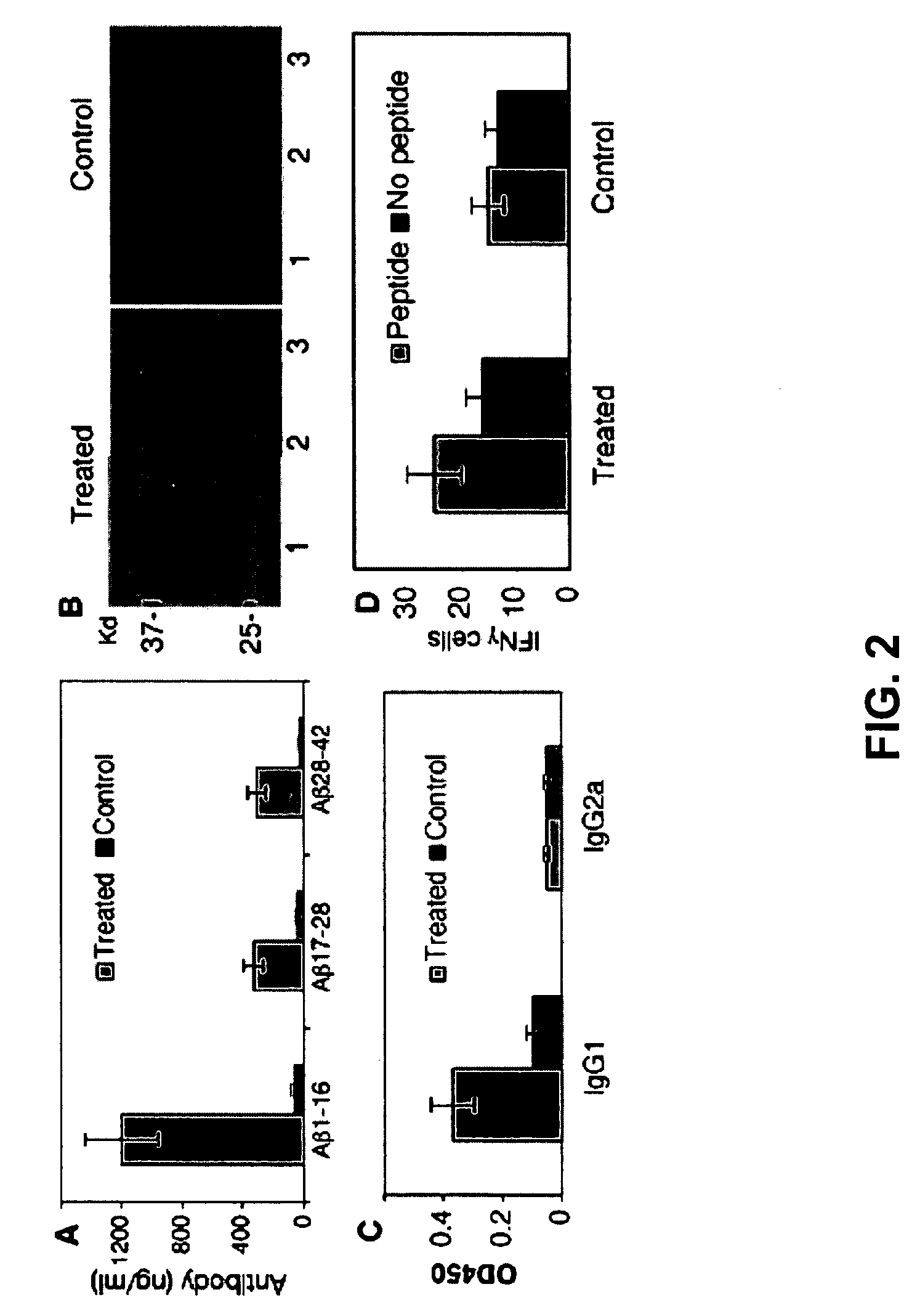 Amyloid beta gene vaccines