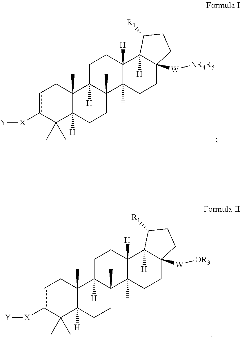 Extended betulinic acid analogs