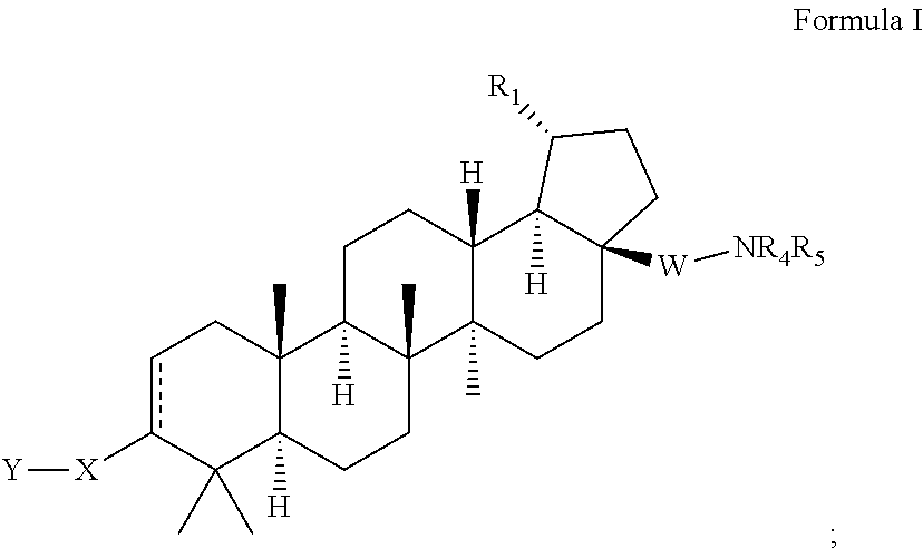 Extended betulinic acid analogs