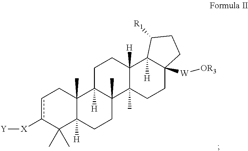 Extended betulinic acid analogs