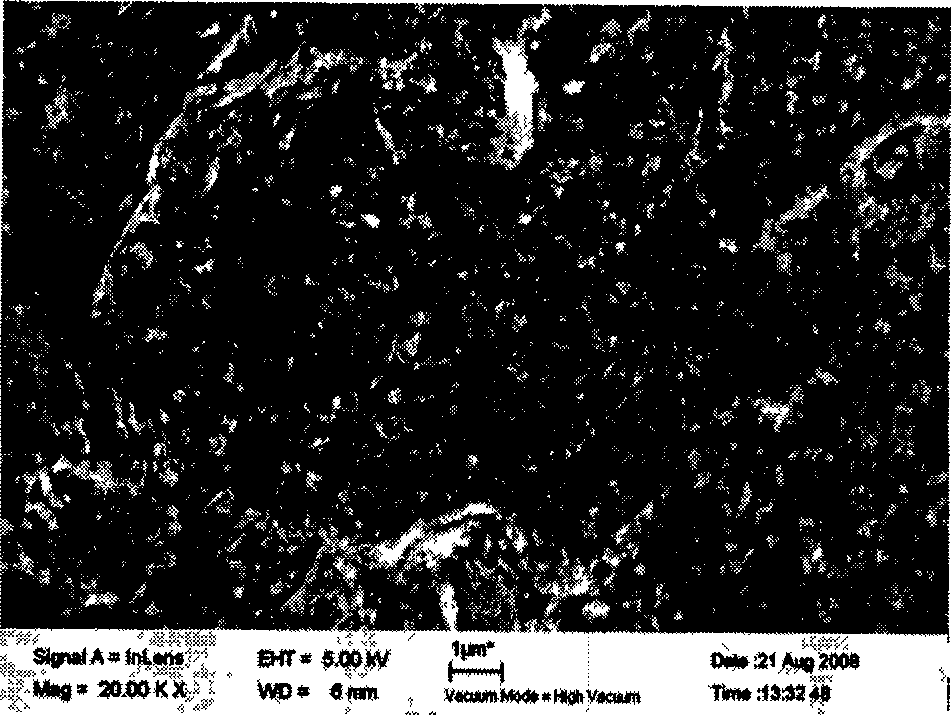 Mono-layer graphite and polymer compound material and preparation and application thereof