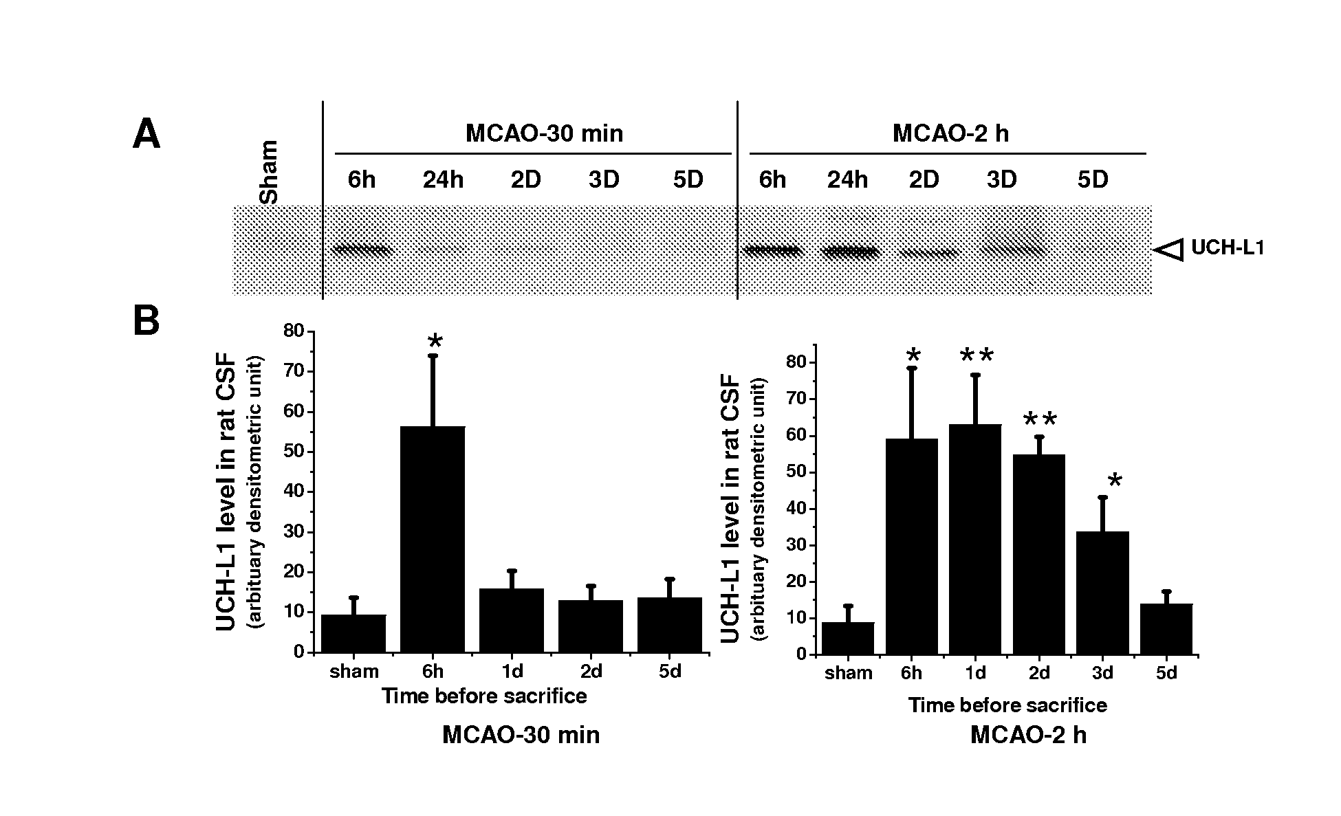 Biomarker detection process and assay of neurological condition