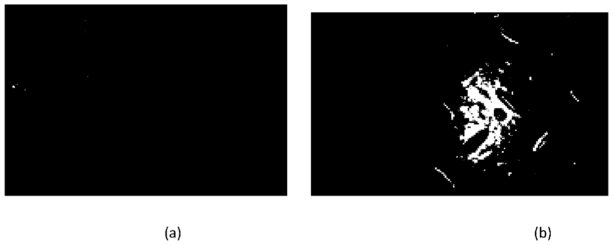 Multi-target segmentation method for illumination non-uniform image