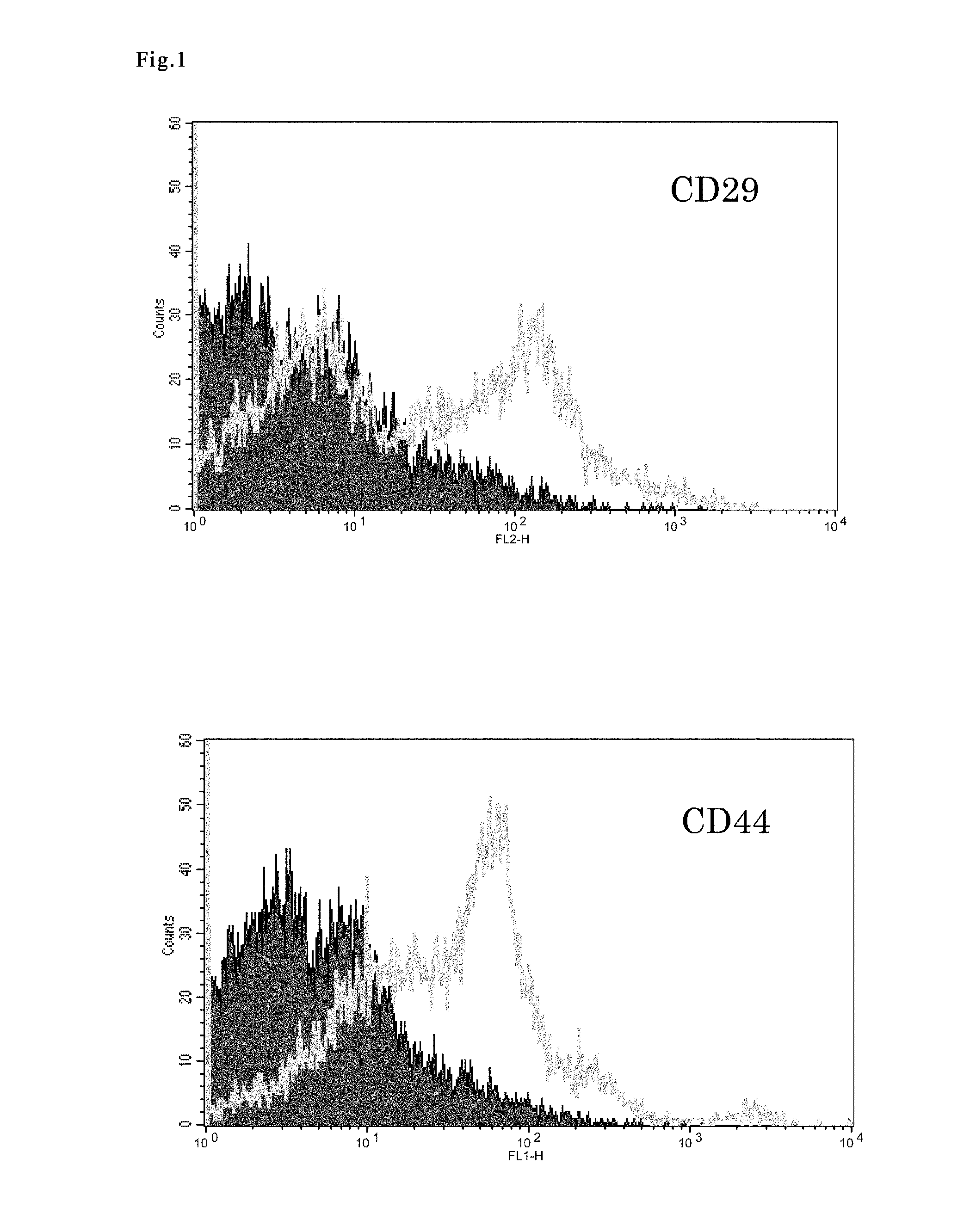 Cell preparation for erectile dysfunction or sensory disorders of the lower urinary tract containing adipose tissue derived mesenchymal stem cells