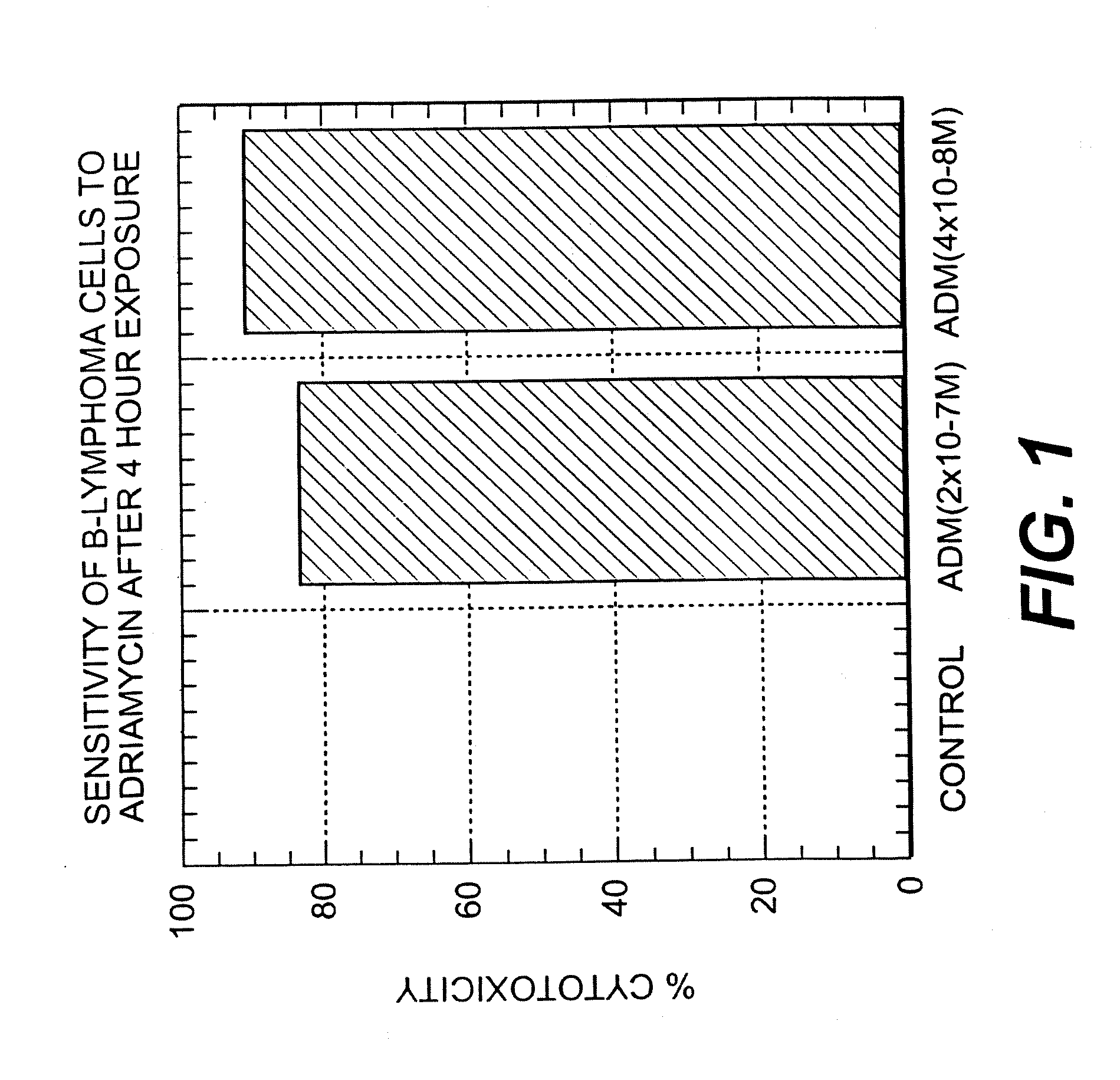 Immunoregulatory antibodies and uses thereof