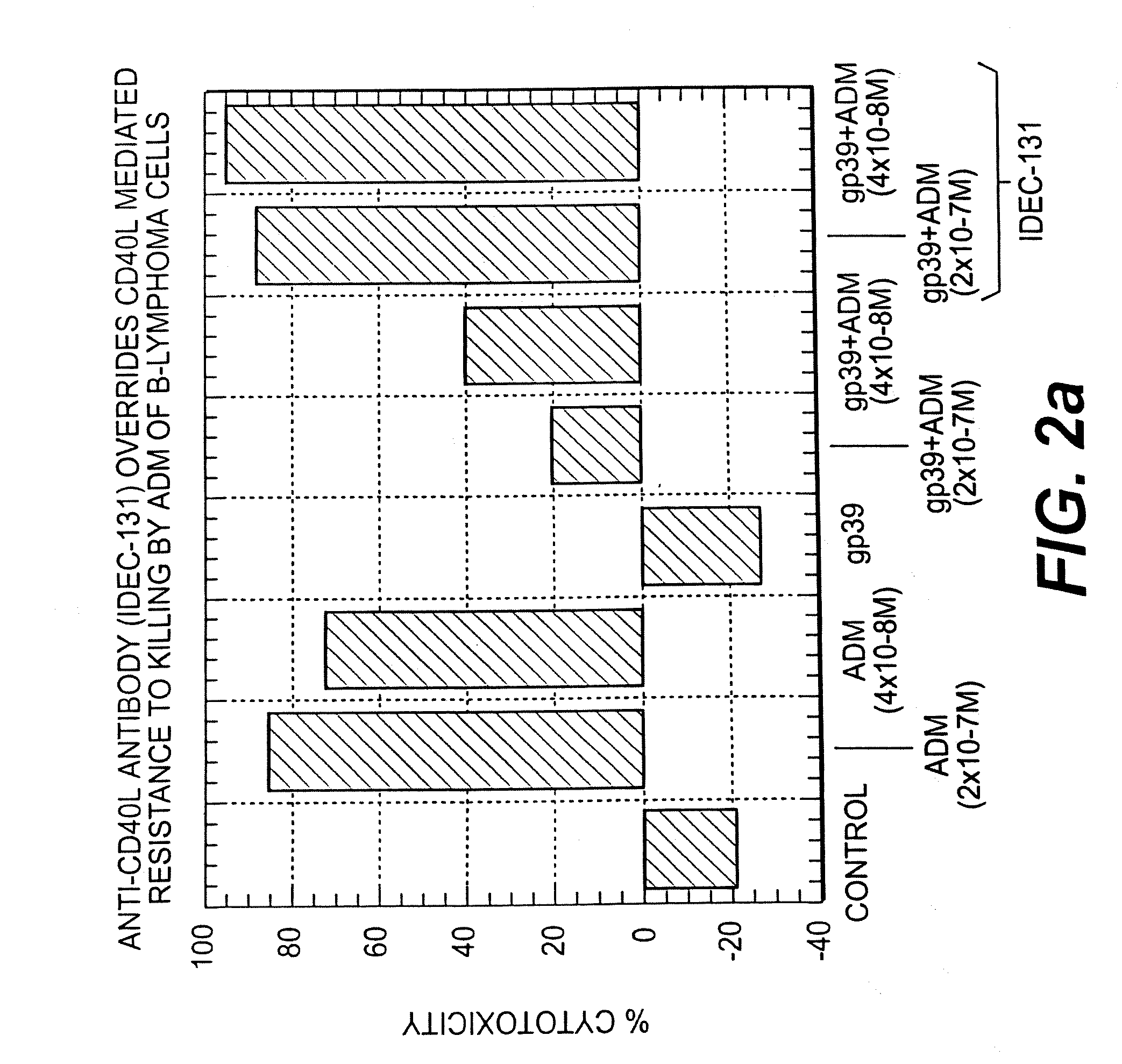 Immunoregulatory antibodies and uses thereof