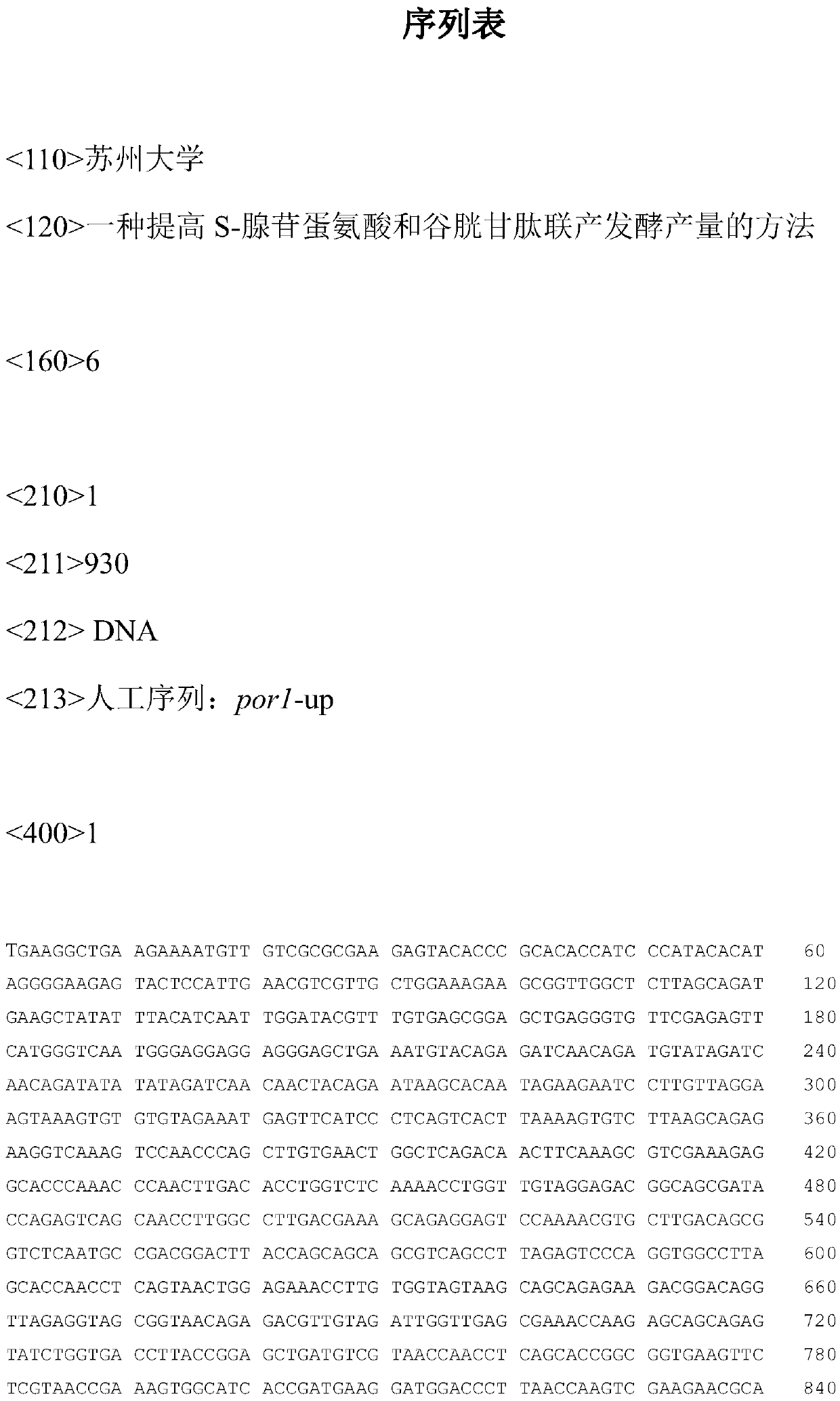 A method for increasing the co-production fermentation yield of s-adenosylmethionine and glutathione