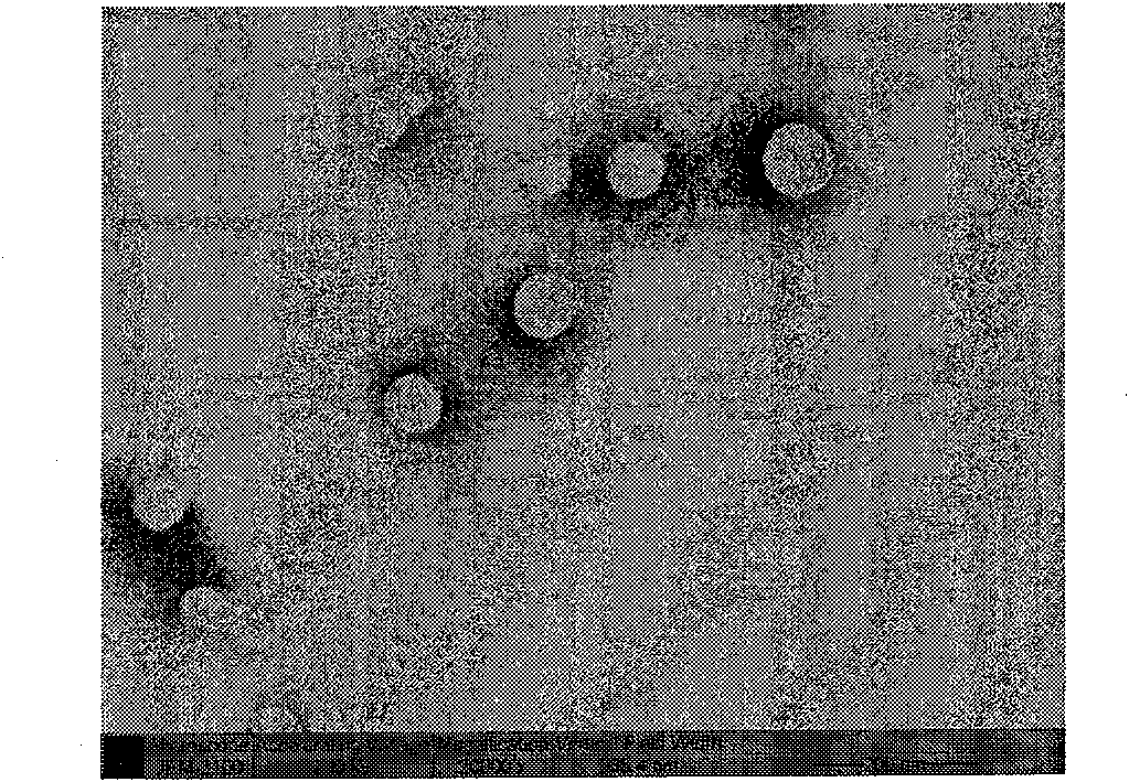 Preparing method of taxanes substance preparation with nanostructure