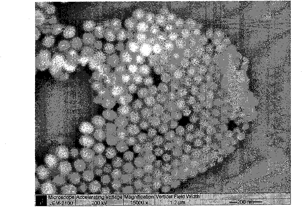 Preparing method of taxanes substance preparation with nanostructure