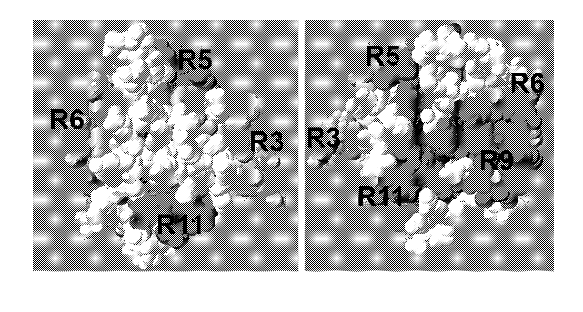 Inhibitors of tlr signaling by targeting tir domain interfaces