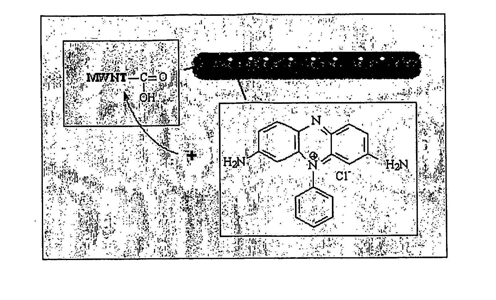 Nanotube-organic photoelectric conversion device and methods of making same