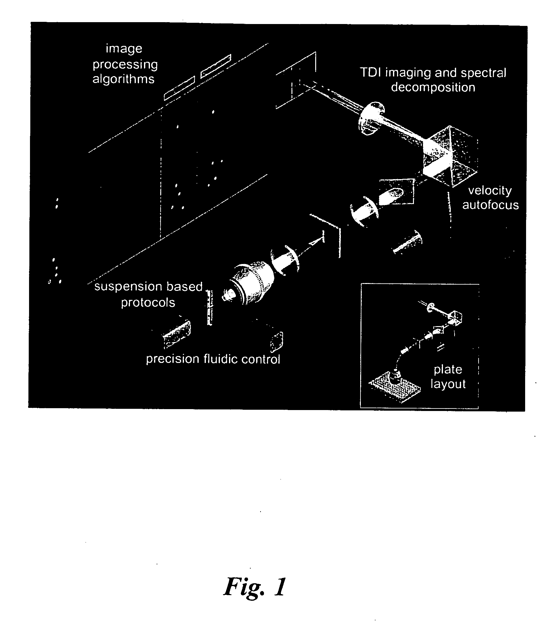 Methods for preparing and analyzing cells having chromosomal abnormalities