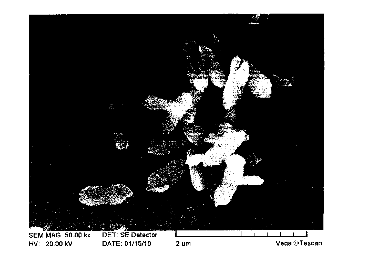 Method for synthesizing zirconium dioxide nanoparticles of special shapes with alcohol-assisted hydrothermal process in one step