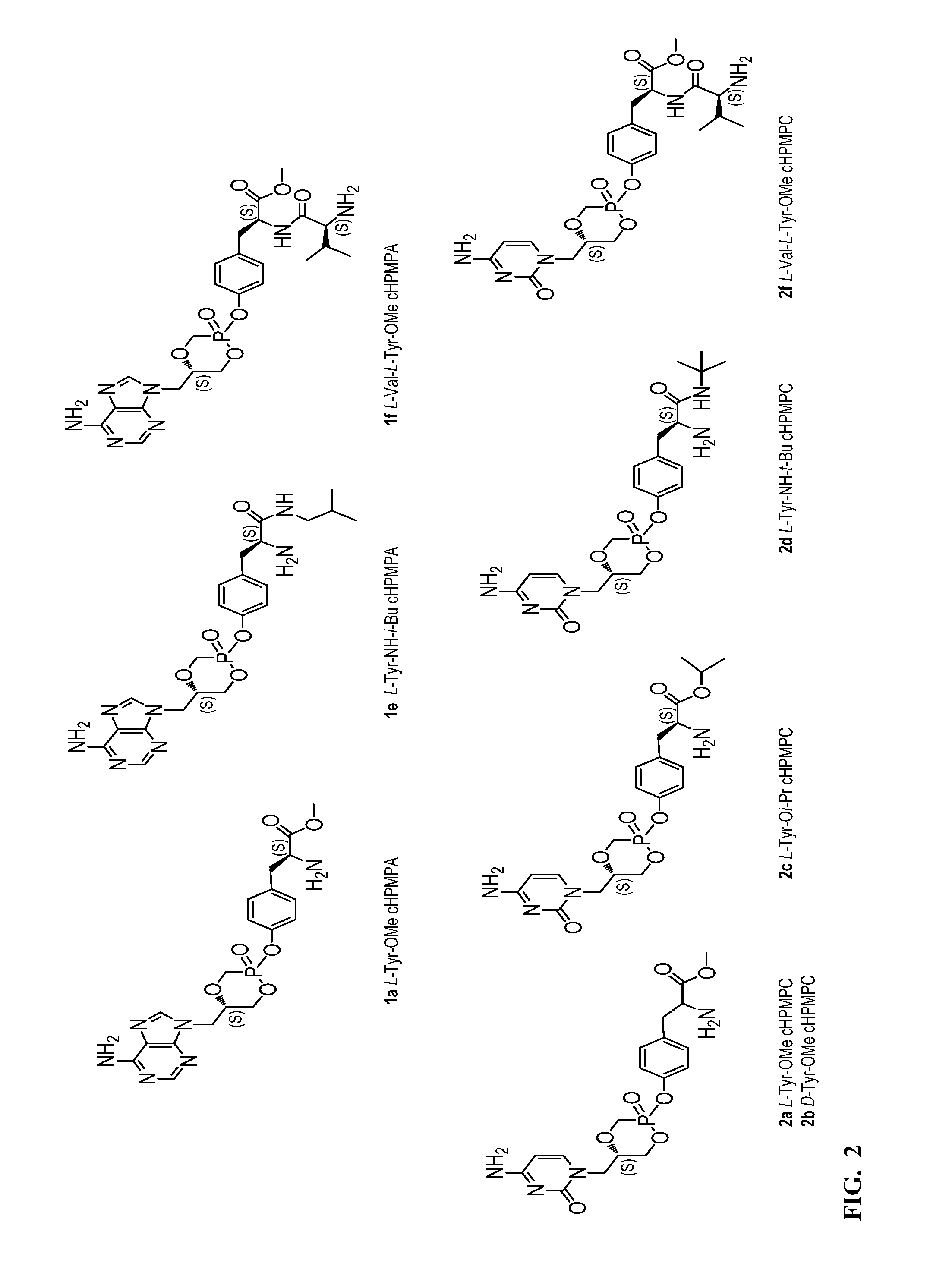 Tyrosine-based prodrugs of antiviral agents