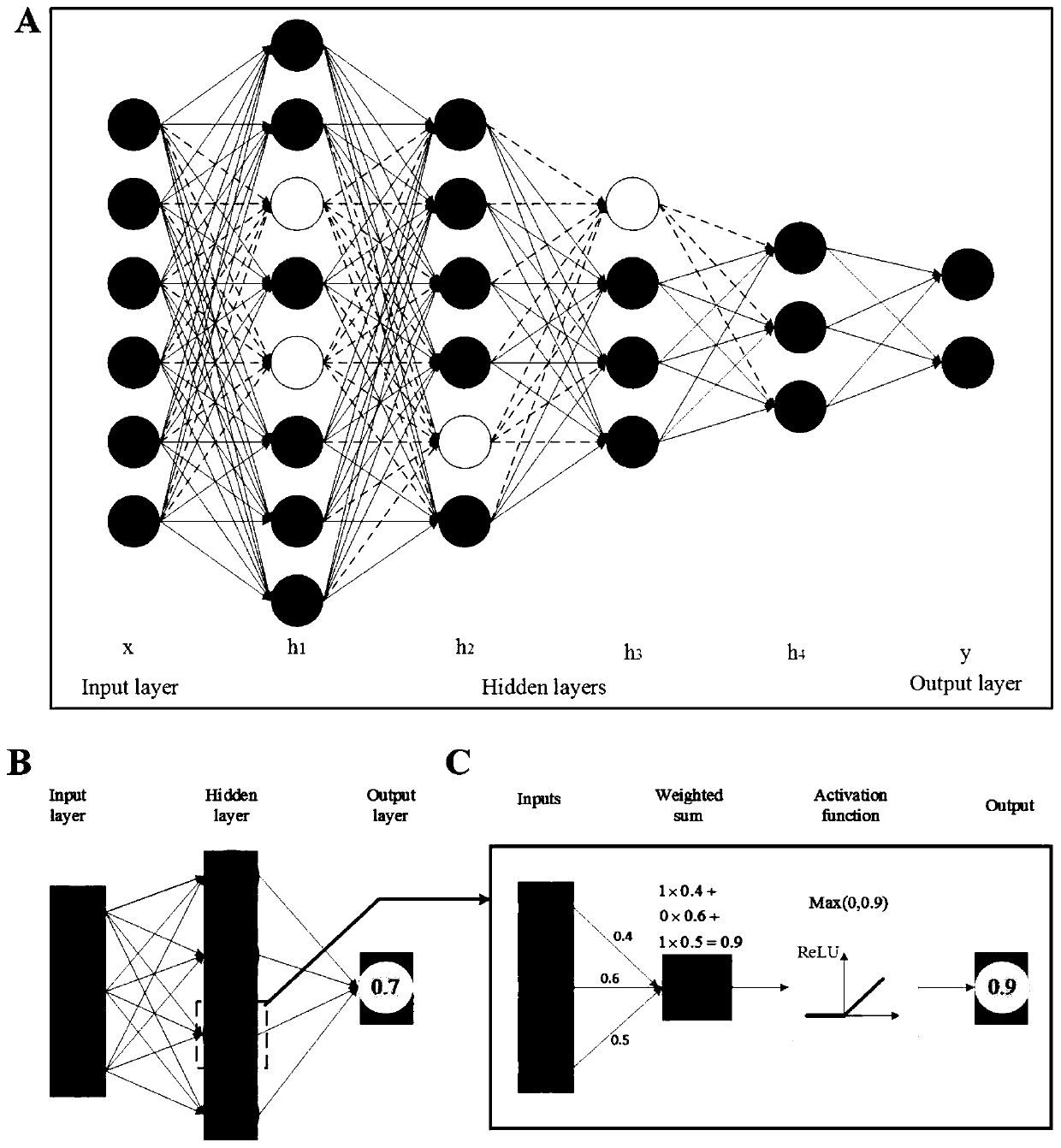 Prokaryotic acetylation site prediction method based on information fusion and deep learning