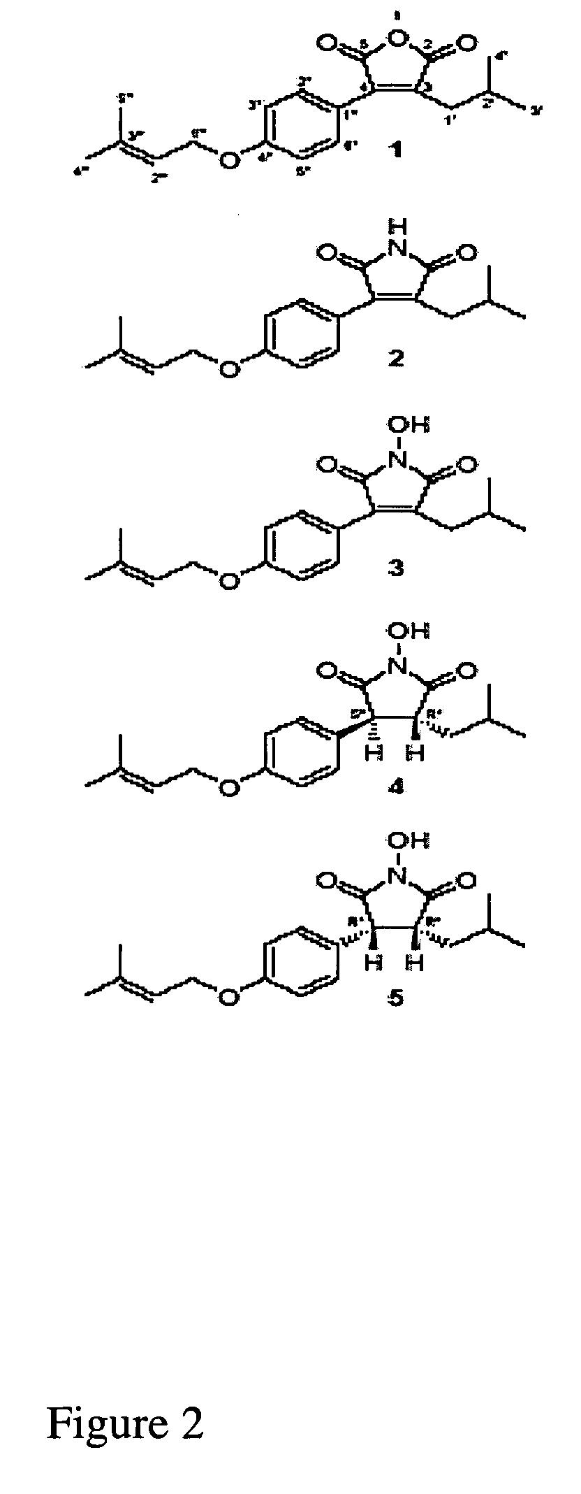 Novel mixture and compounds from mycelia of Antrodia camphorata and use thereof