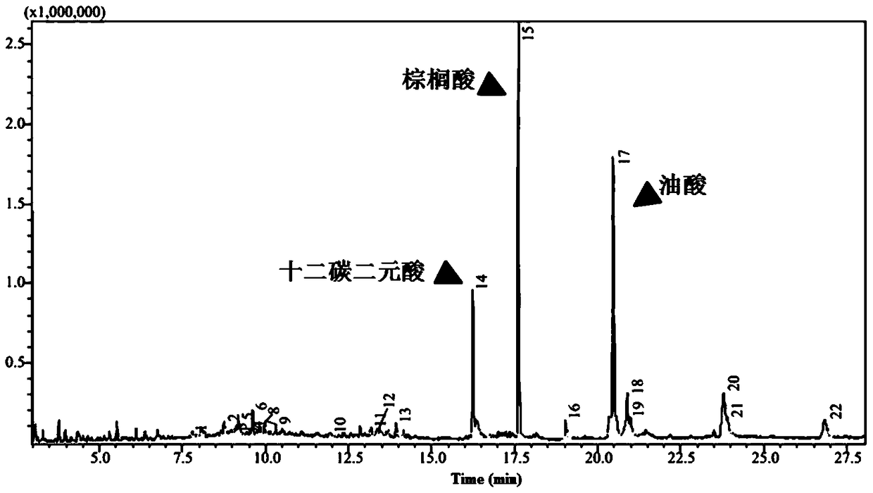 Application of Candida tropicalis in producing dodecanedioic acid from unsaturated oil