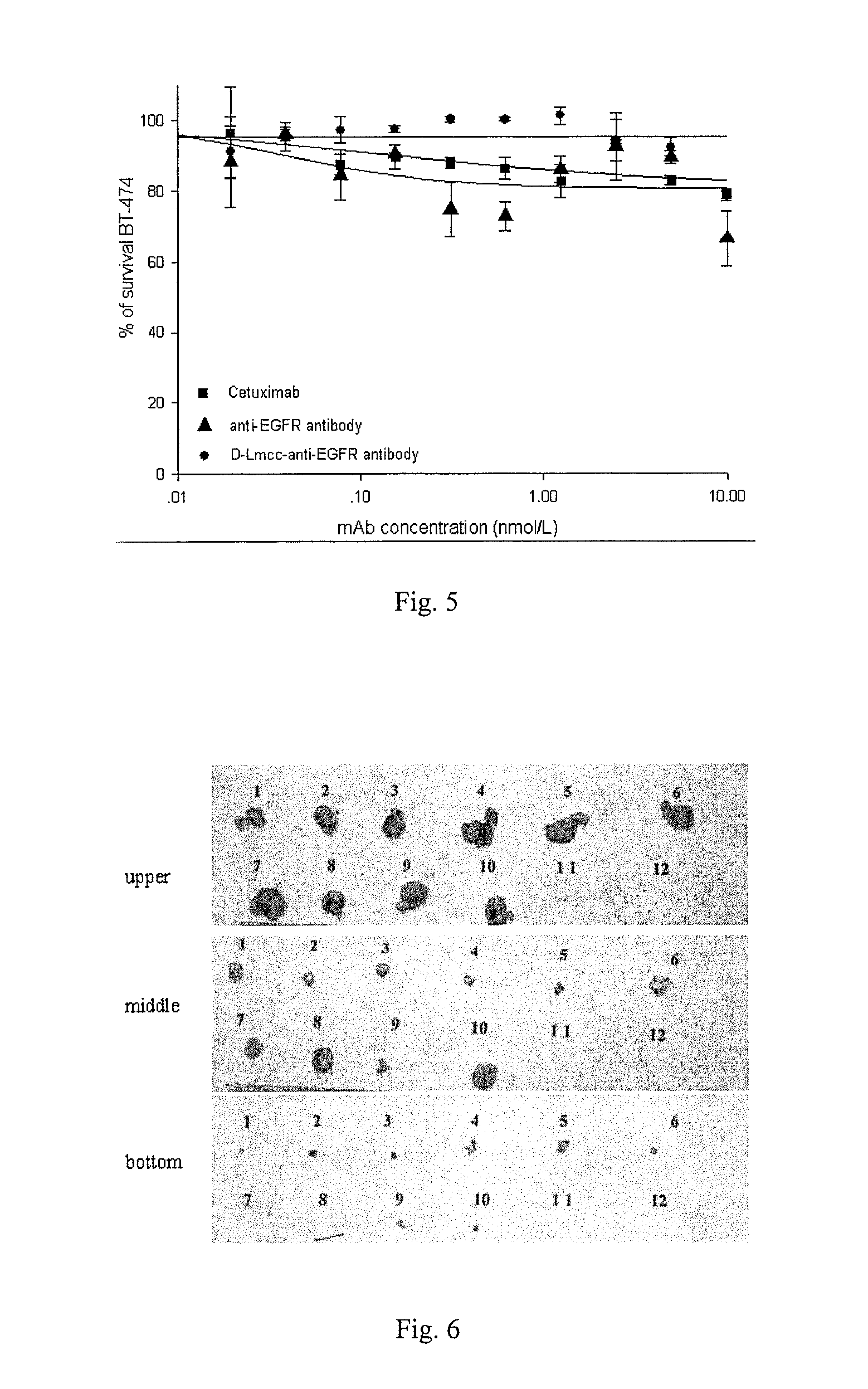 Compounds and methods for the treatment of EGFR positive diseases