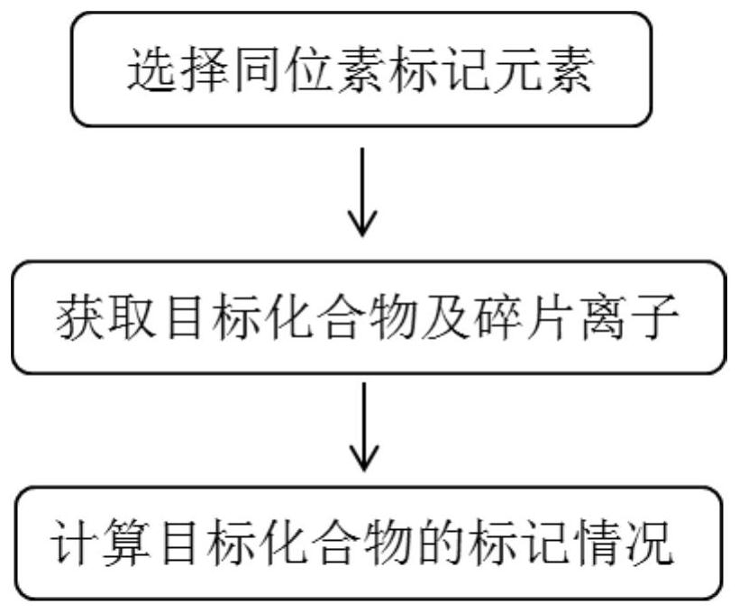 Fragment ion prediction method of compound and application