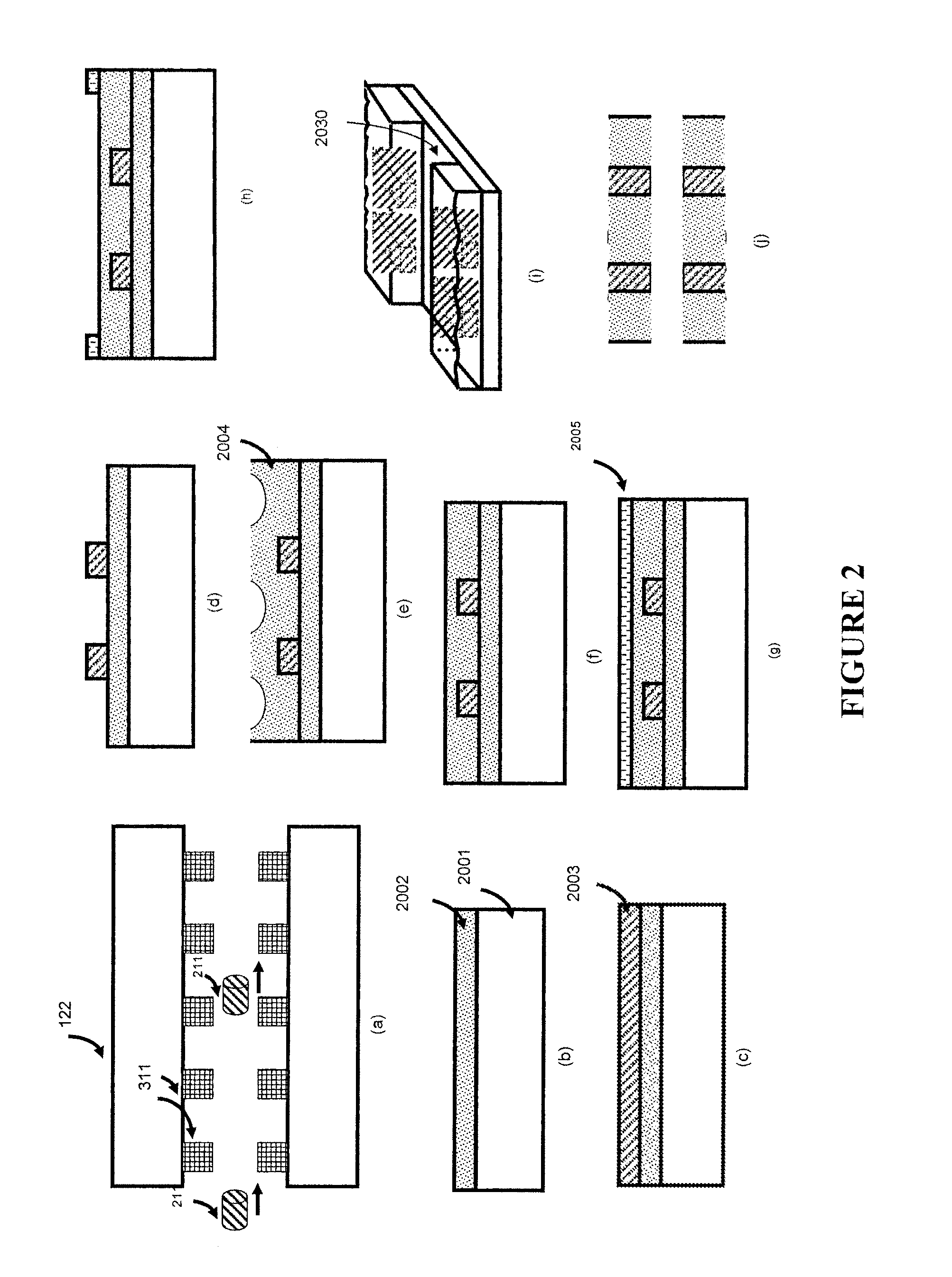 Apparatus for Disease Detection