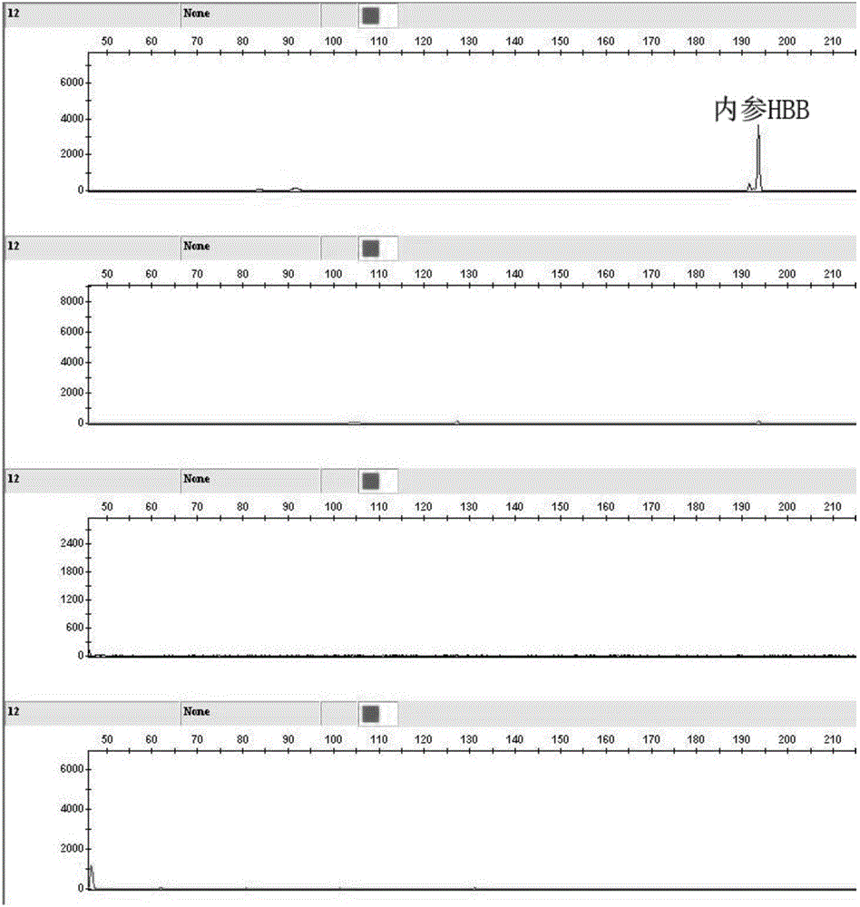 Kit for human papilloma virus E6/E7 gene detection and detection method