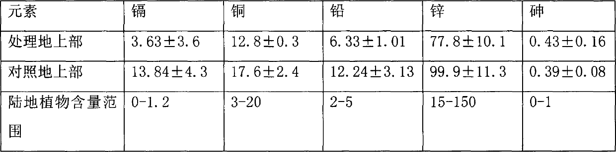 Method for hindering absorption of heavy metal by plant