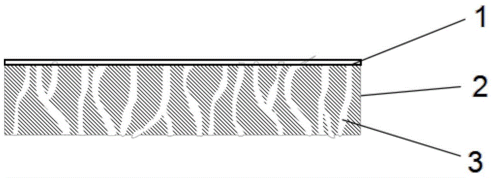 Solid electrolyte film, and preparation method and application of solid electrolyte film