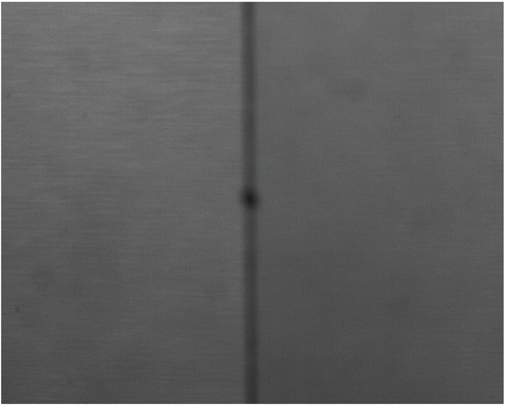 BSL 3D DIC reconstruction method using pericentric lens