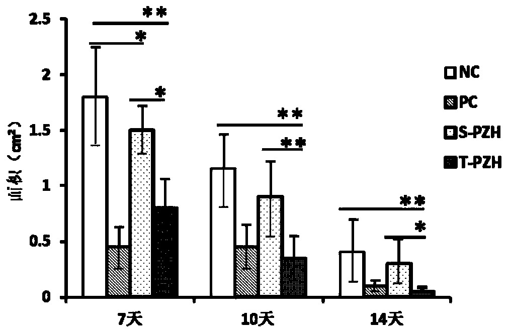 Application of anti-inflammatory and analgesic bolus and preparation thereof in preparation of medicine for promoting refractory wound healing