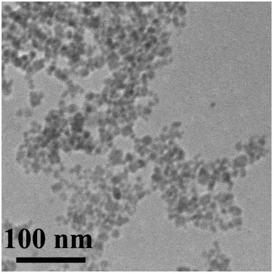 Polyamino acid coated nano-magnetic fluid composite material and preparation method for same