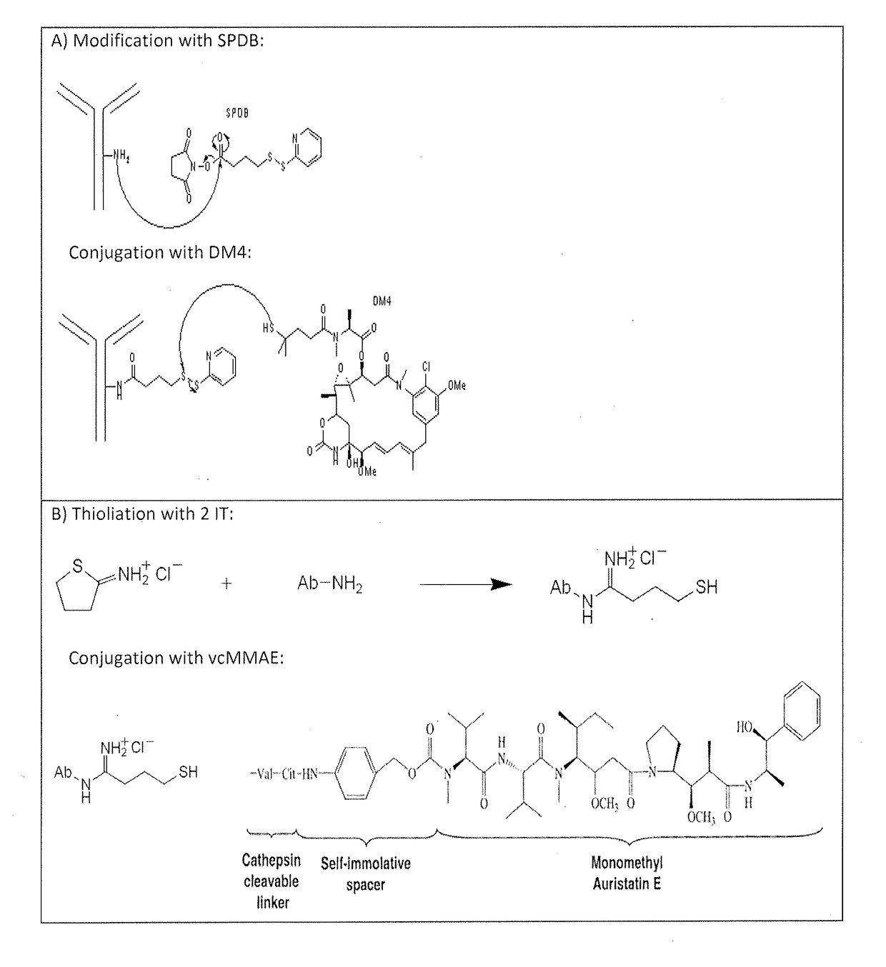 Drug conjugates comprising antibodies against claudin 18.2