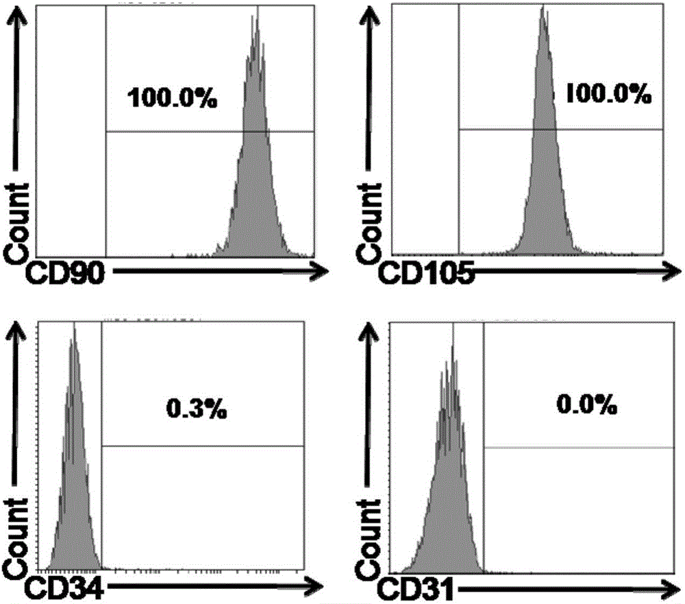 Novel medicine composition capable of stimulating collagen secretion and uses thereof