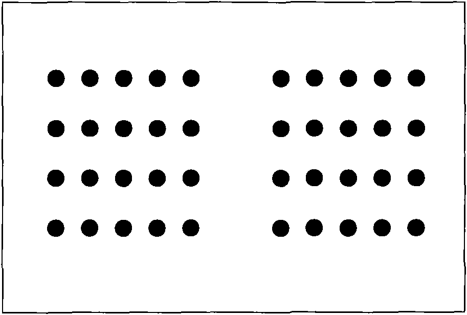 Protein chip for detecting multiple veterinary drug residues and kit thereof