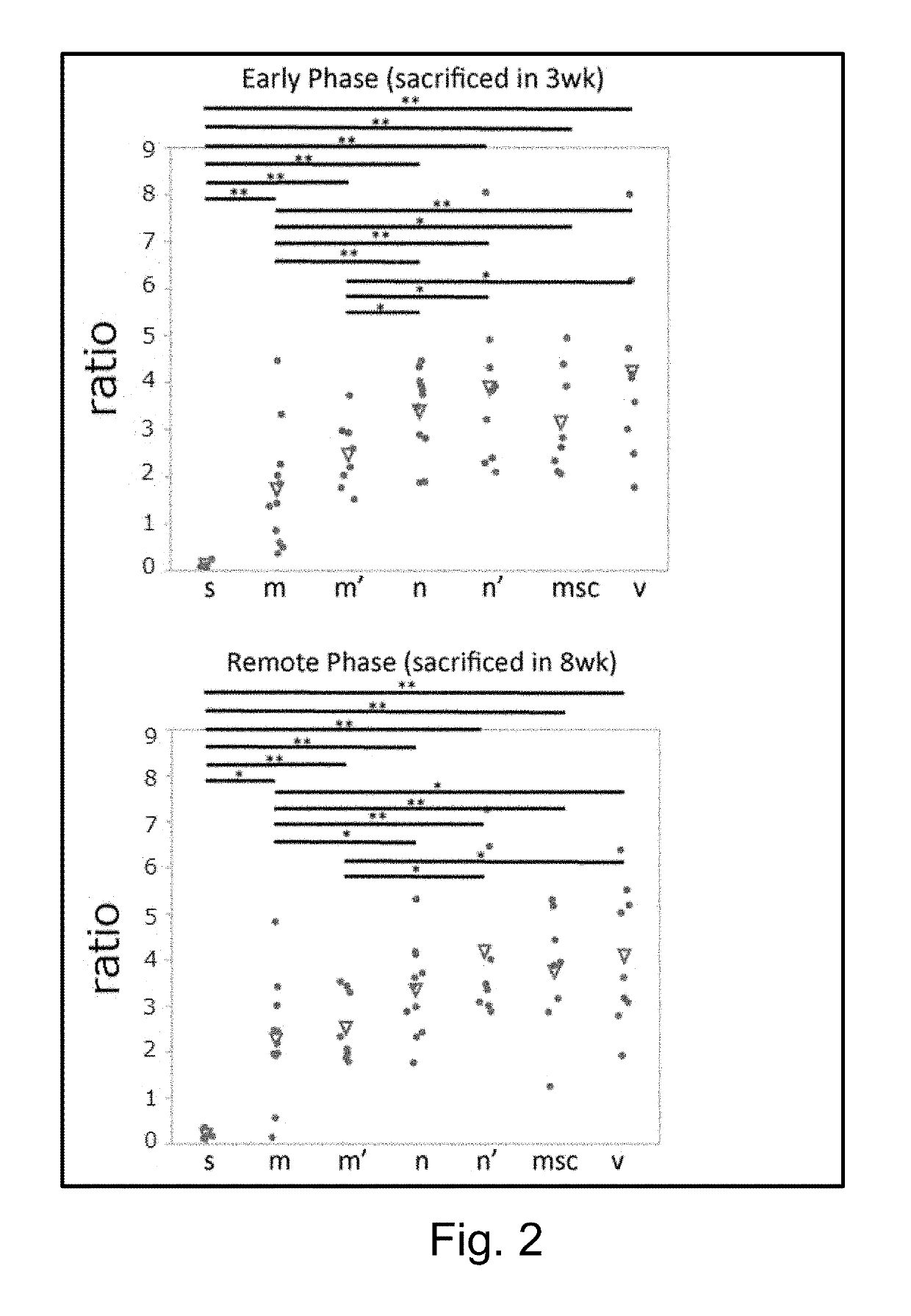 Prophylactic or therapeutic agent for vascular disorder