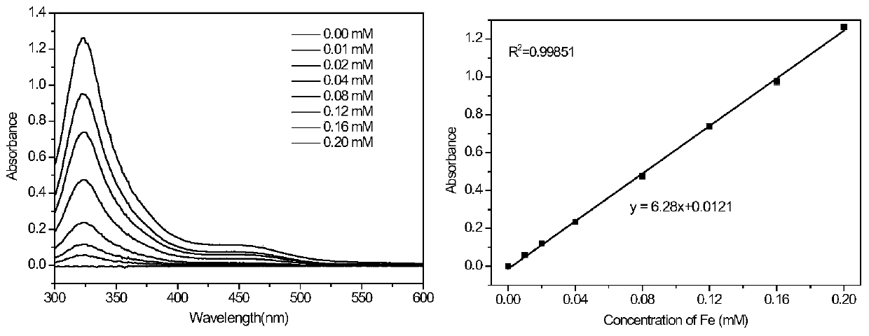 Application of carbonyl iron-sulfur cluster compound nanoparticles in drug preparation