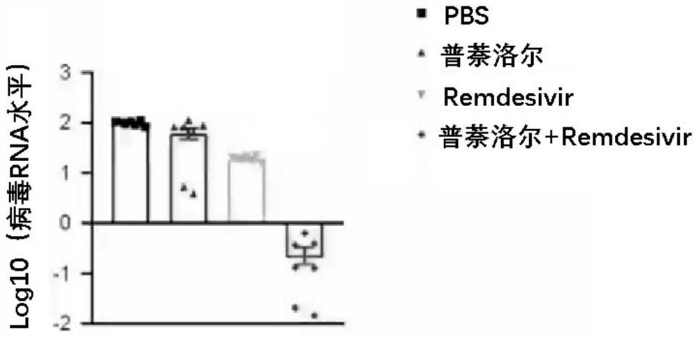 Application of propranolol in resisting coronavirus infection