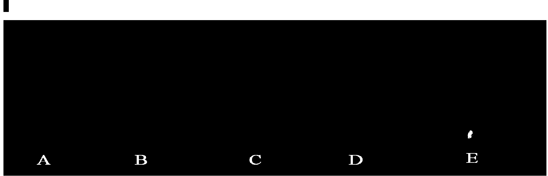 High-throughput plant type measurement method based on image processing