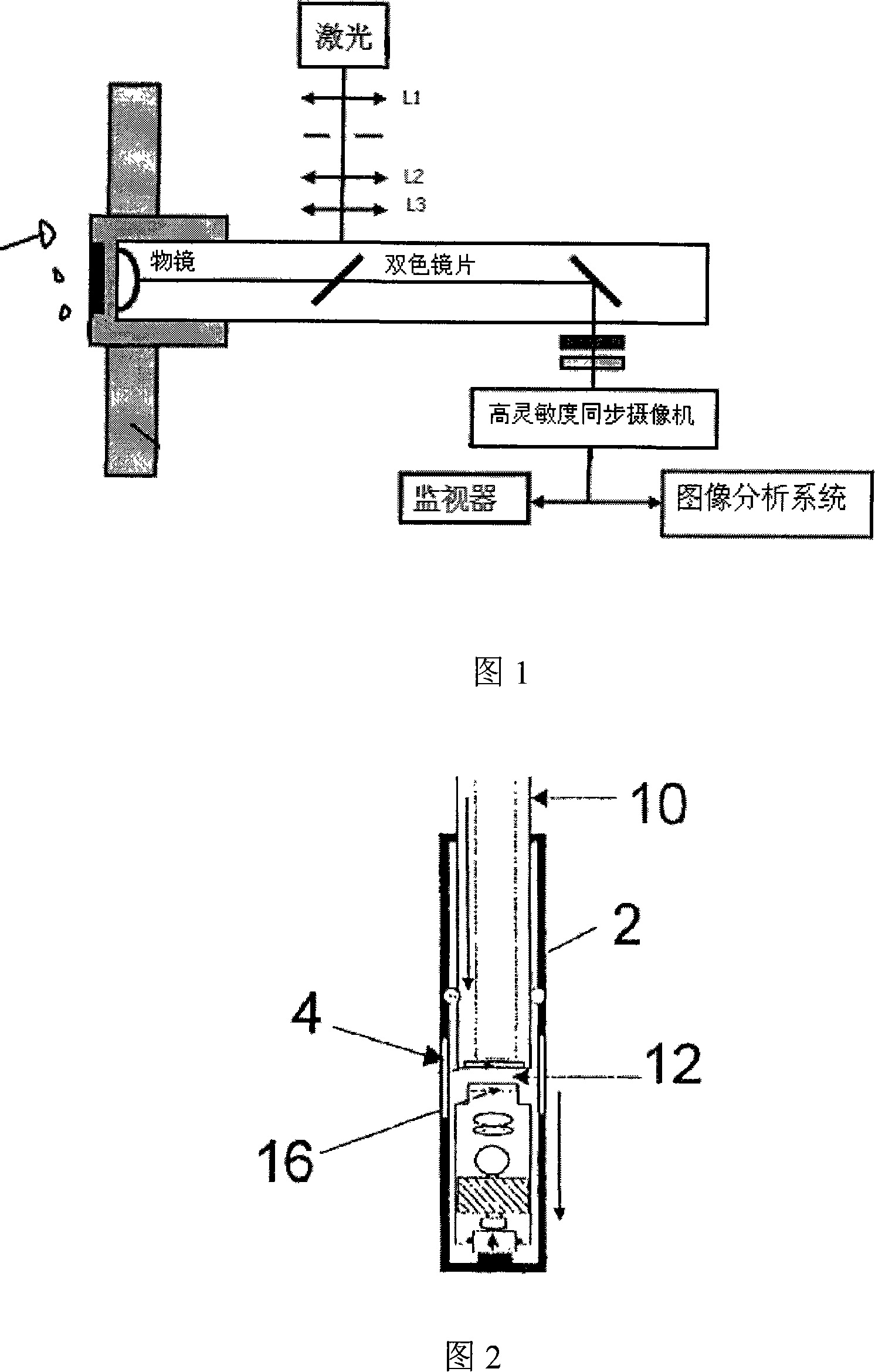 On-line cell micro observation instrument for biochemical reactor