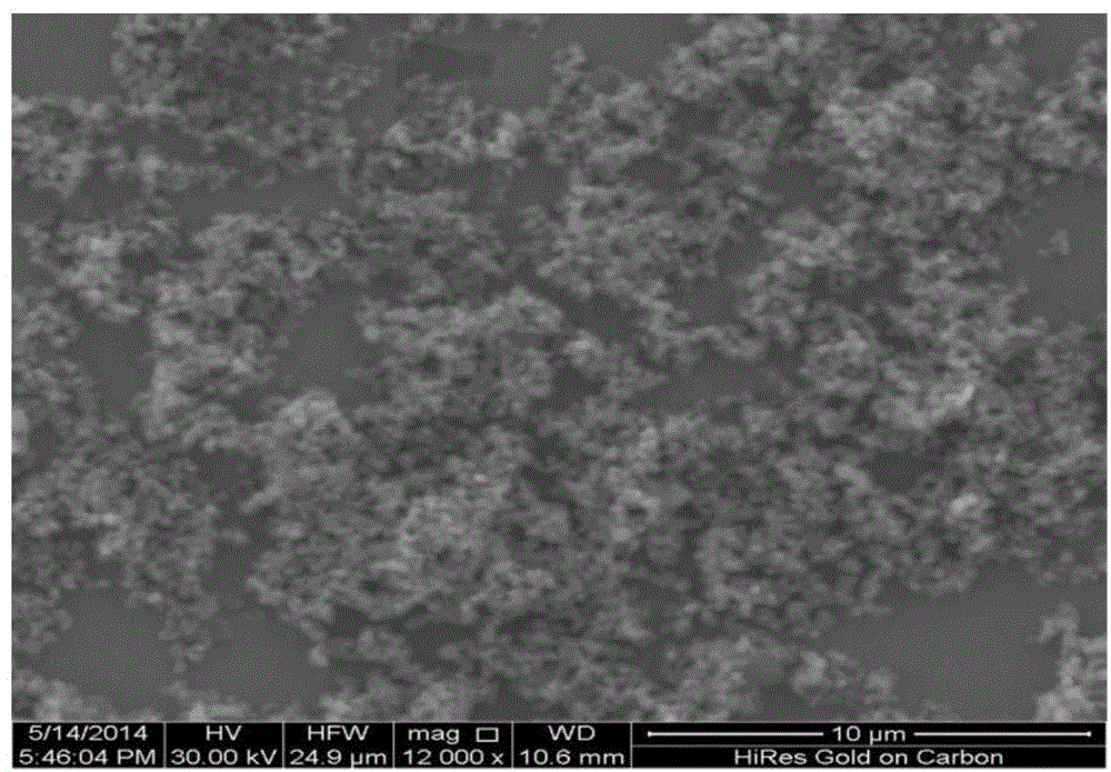 Preparation method and detection method of carcino-embryonic antigen electrochemical immunosensor