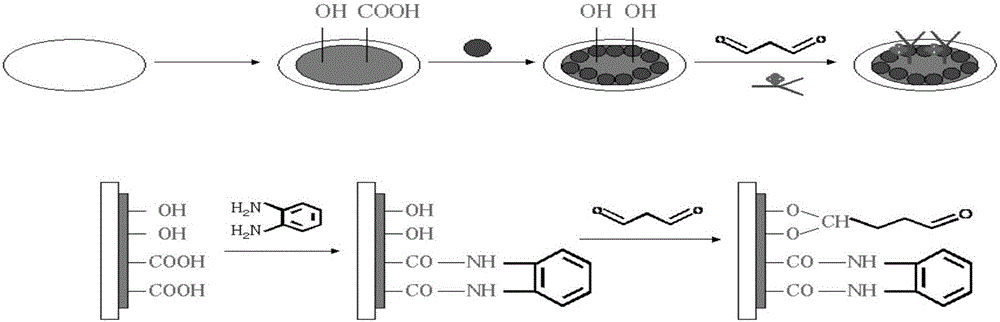 Preparation method and detection method of carcino-embryonic antigen electrochemical immunosensor