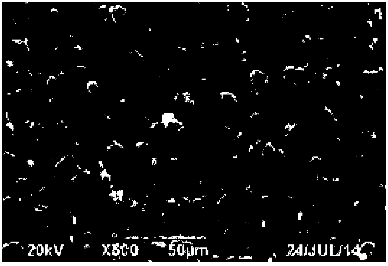 High-performance graphite composite negative electrode material and preparation method thereof